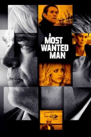 A Most Wanted Man 2014